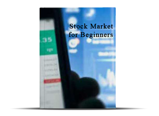 Stock Market For Beginners