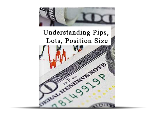 Understanding Pips, Lots, Position Size